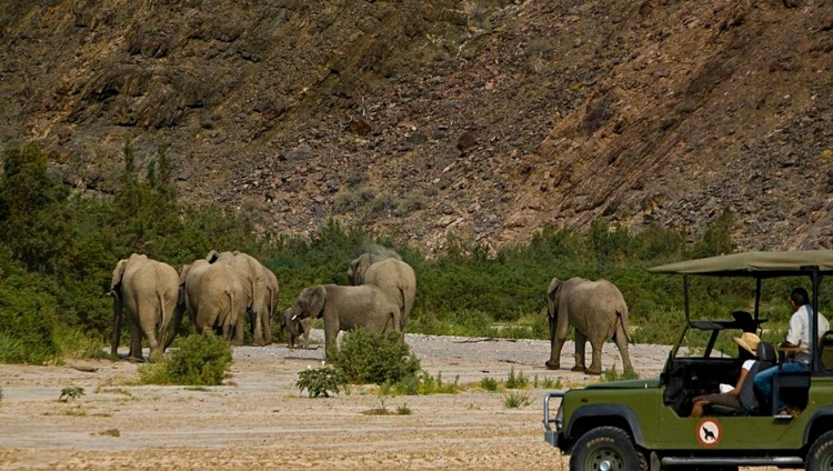 Okahirongo Elephant Lodge - Pirschfahrt